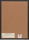 Navicula bengalensis Grun. (de-Toni-Nr.: Genus 1, Species 462) Zeichnungen Sammlung Grunow Mappe 00399 (Herbarium_W_Grunow_drawings_Folder_00399)